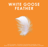 White goose feather on an orange background with text.
